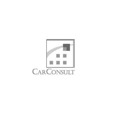 CC CarConsult GmbH